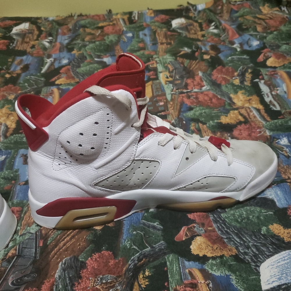 jordan retro 6 alternate hare Size 10.5